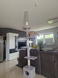 Yaheetech Kratzbaum Katzenbaum 226cm-265cm deckenhoch, höhenverstellbar, mit Sisalstämmen, Dunkelgrau Kunden-Foto 2