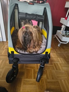 WISFOR Hundebuggy Faltbar, XL Hundewagen für mittelgroße und große Hunde bis 65kg,  Hundeanhänger Hundetasche mit verstellbar Griff Kunden-Foto 1
