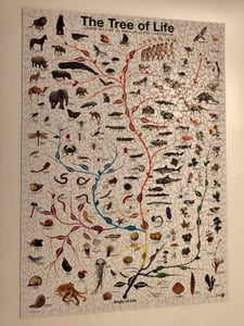 Eurographics Puzzle Flaggen der Welt, Nationalflaggen, 1000 Teile, 68 x 48 cm, 6000-0128 Foto del cliente 3