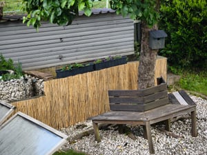 Sol Royal Schilfmatten Sichtschutz Zaun S36, 200x600cm, Balkon Kunden-Foto 1