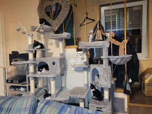 Feandrea Kratzbaum, 74 cm Katzenbaum, M, Katzenhaus für mittelgroße Katzen bis zu 5 kg, große Plattform, 2 Katzenhöhlen, Sisalstämme, hellgrau PCT612W01 Kunden-Foto 9