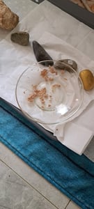 animonda Vom Feinsten Mildes Menü Pute Käse, Adult, jede Rasse, Käse, Türkei, 100 g, Getreidefrei, Ohne Soja Kunden-Foto 1