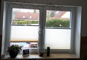 Plissee Klemmfix Standardmaß : Weiß : 220 : 60 Kunden-Foto 1