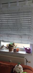 Joyswahl Raffrollo mit Schlaufen Voile Küche Gardine Bestickte Raffgardine mit Wellenperlenmuster Stickerei Grün BxH: 100x140 cm Kunden-Foto 2