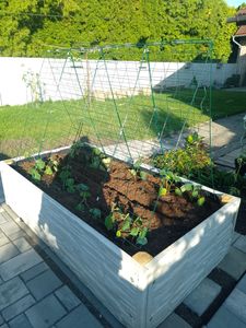 COSTWAY 8tlg. Rankgitter Gartenspalier Rankhilfe Stahl inkl. 55 Zubehör 122x86cm Pflanzenspalier Gitterspalier für Kletterpflanzen Gemüse & Obst Kunden-Foto 1
