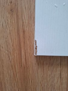 Scaffale angolare Tribesigns, 178 cm, scaffale portaoggetti, libreria, supporto per piante, 5 livelli, per casa, ufficio, soggiorno, camera da letto, balcone, verde chiaro Foto del cliente 7