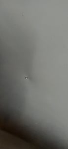 LEVIVO A+++ Kopffreie Dunstabzugshaube 60cm Umluft & Abluft mit 420 m³/h Luftleistung, 3 Stufen & Booster, 2 LEDs, Abzugshaube mit 2 Aktivkohlefiltern Kunden-Foto 3