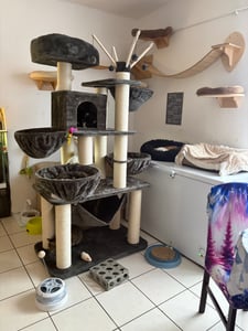 tectake® Kratzbaum Gismo 195 cm inklusive Treppe, 4 Spielbällen und Kippschutz Kunden-Foto 12