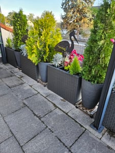 Blumentopf Ø: 41 x H: 55,7 cm Faux Black, für Innen & Aussen, 49 Liter Kunden-Foto 1
