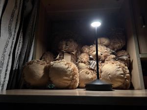 2er-Set schnurlose dimmbare LED-Tischlampen, wiederaufladbare Tischlampen für Restaurants, Bars, Schlafzimmer, weiß Kunden-Foto 9