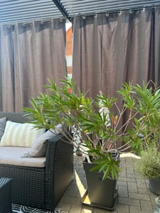 Tende per esterni Tenda impermeabile resistente alle intemperie con occhielli Tende per balcone gazebo terrazza, bianco, B180xH274cm Foto del cliente 1