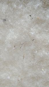 Woll Volumenvlies aus Schafschurwolle 200g/m², 1,5 m breit, 5 m lang, ca. 15 mm dick, 7,5 m² Kunden-Foto 1