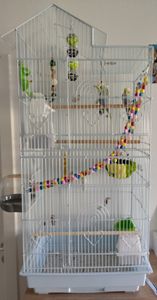 Yaheetech Vogelkäfig mit Vogelspielzeuge 99 cm H Wellensittichkäfig mit Vogeltreppe Nymphensittiche Fink-Papageien-Käfig, Schwarz Kunden-Foto 2