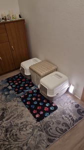 Katzenklo mit Deckel Aktivkohlefilter Katzentoilette Katzen WC Hauben Toilette Klo grau modernes Design Kunden-Foto 1
