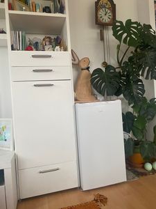 Exquisit Gefrierschrank GS5111-330E weiss | 63 l Nutzinhalt | 4-Sterne-Gefrieren | Gefrierschubladen | Türanschlag wechselbar | Glasablagen Kunden-Foto 1