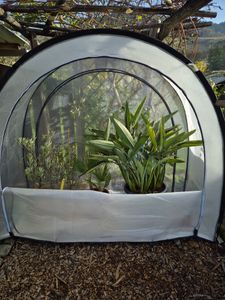 BioGreen Überwinterungszelt Arctic in Anthrazit L 186 x B 84 x H 175 cm Kunden-Foto 1