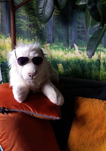 MISANIMO WEISSER LÖWE liegend groß Kunden-Foto 1