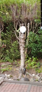 LED solární světelná koule - 25 cm / teplá bílá - solární zahradní lampa solární koule Fotografie od zákazníka č. 1