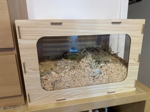 Gabbia per criceti SucceBuy, gabbia per roditori, "Nagarium" in legno, dimensioni 1220x510x510 mm, finestra panoramica a 270°, resistente alle fughe, con coperchio e sistema di ventilazione, adatta per criceti dorati, criceti nani, coniglietti e gerbilli Foto del cliente 1