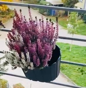 nabbi Balkonkasten aus Kunststoff DDECZ400 38,3 cm - Anthrazit Kunden-Foto 1