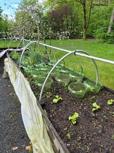 Garten Bewässerungssystem, Freie Biegung Sprühnebel Kühlung Bewässerung Kit mit 10 Nebeldüsen und 10M Schlauch, Tropfchenbewässerung Gartenbewässerung Wasserkühlung Wasserzerstäuber Kunden-Foto 2