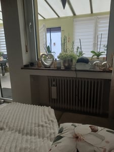 Luftreiniger Allergiker, Ozongenerator, Geruchsentferner, Filter gegen Staub, Pollen, Tierhaare, Ionisator für Bad, Küche, Rauch, Auto Kunden-Foto 1