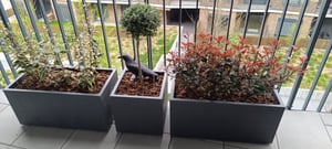 Garlist HG40 atrapa odpudzovača vtákov Raven 40 cm Fotografia od zákazníka č. 1