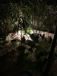 SWANEW 6pcs. spot de jardin LED avec piquet de terre, spot extérieur éclairage de jardin avec prise étanche IP65 blanc chaud Photo du client 6