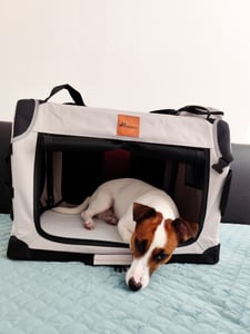 Skládací přepravka pro psy TRESKO® antracitová (M 61x42x42cm) včetně podložky na lízání, lopatky a odrazek | přepravní box pro psy a kočky | přepravní box pro malé a velké psy | robustní taška pro psy Fotografie od zákazníka č. 1