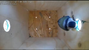 Tapo C400 Außenkamera Akku | Überwachungskamera aussen mit 1080p-HD-Video, WLAN, Kunden-Foto 2