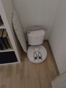 Dreame D10 Plus RLS3D Roboter-Staubsauger 0,4 l Kunden-Foto 1