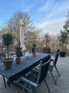 winterharter XXL Olivenbaum  50 Jahre, extra dicke Stämme, winterhart Kunden-Foto 4