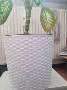 Rato runder Blumentopf DRTUS250L mit Einsatz | Weiß Kunden-Foto 1