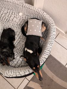 Kirschkernkissen, Wärmekissen, Körnerkissen für Babys, 20x25, Baumwolle Weiße Sterne mit Graue Kunden-Foto 1