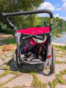 DOGGYHUT® Premium XL 2 in 1 Hundefahrradanhänger & Jogger 23 - 45 kg Fahrradanhänger für Hunde Kunden-Foto 1