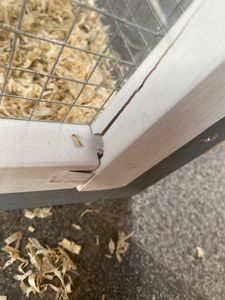 Kaninchenstall, Hasenstall, Hasenvilla, Kleintierstall Klopfer grau/weiß Kunden-Foto 2
