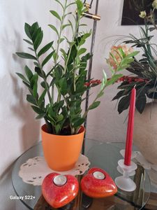 obal ELLA pr.13cm OR matný Kunden-Foto 1