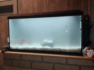 Dehner Aqua Aquarium Starterset 80, ca. 81 x 36 x 45 cm, inkl. Futter und Pflegeprodukten Kunden-Foto 1