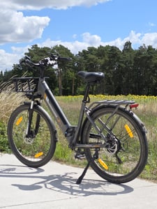 Runetic Ebike, City e-bikes & Dutch e-bikes, 250W Motor, herausnehmbarer 36V 13Ah Akku, bis zu 100 km Reichweite, 7 Gänge, 25 km/h, Grau Kunden-Foto 1