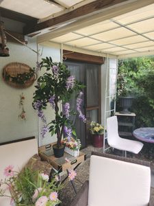 vidaXL Künstliche Glyzinie mit Topf 120 cm Kunden-Foto 2
