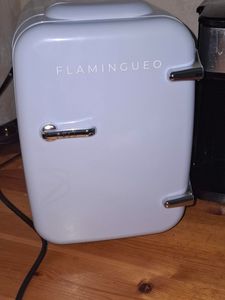 Flamingueo Kühlschrank Klein 4L Funktion Kühlen und Heizen 12V/220V Kunden-Foto 2