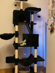 Feandrea Kratzbaum 206 cm, XXL, mit 13 Kratzsäulen, 2 Plattformen beige Kunden-Foto 46