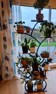 Blumenständer mit Wachstumslicht, 8 Ebenen Blumentreppen, 4 Räder，122cm/126.5cm Hoch Pflanzenständer Metall Blumenregal für Indoor Balkon,Weiß Kunden-Foto 8