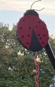 Piñata rosa con forma de estrella Foto del cliente 1