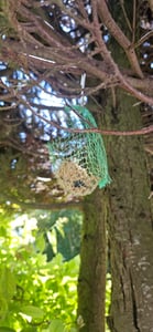 Vogelfood 100x90g Meisenknödel (9kg) ohne Netz Wildvogelfutter Ganzjahresvogelfutter Vogelfut Kunden-Foto 6