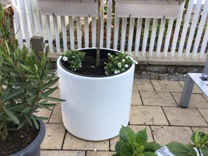 Fioriera elegante con superficie liscia e base conica rialzata - Disponibile in più colori Foto del cliente 4