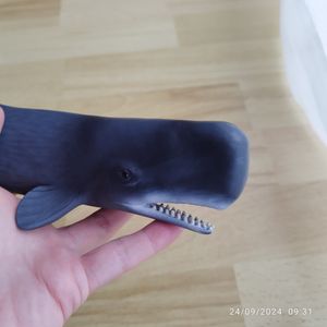 für Naturliebhaber 