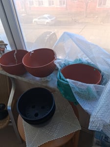 Lot de 3 pots de fleurs suspendus, pots suspendus à arrosage automatique avec réservoir d'eau et trou de drainage, pot suspendu en nid d'abeille avec chaînes en acier inoxydable, blanc, S (diamètre 16,5 cm) Photo du client 4
