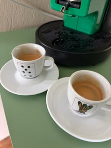 Didiesse Frog Revolution, Kávovar na pody, 2 L, kávový sáčok, 650 W, Čierna, Zelená Fotografia od zákazníka č. 3