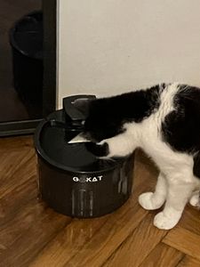GoKat – Katzenbrunnen kabellos mit Bewegungsmelder und Akku 2500 mAh mit Sensor; Trinkbrunnen für Katze kabellos ohne Strom;3LWasserbrunnen für Katzen Kunden-Foto 1